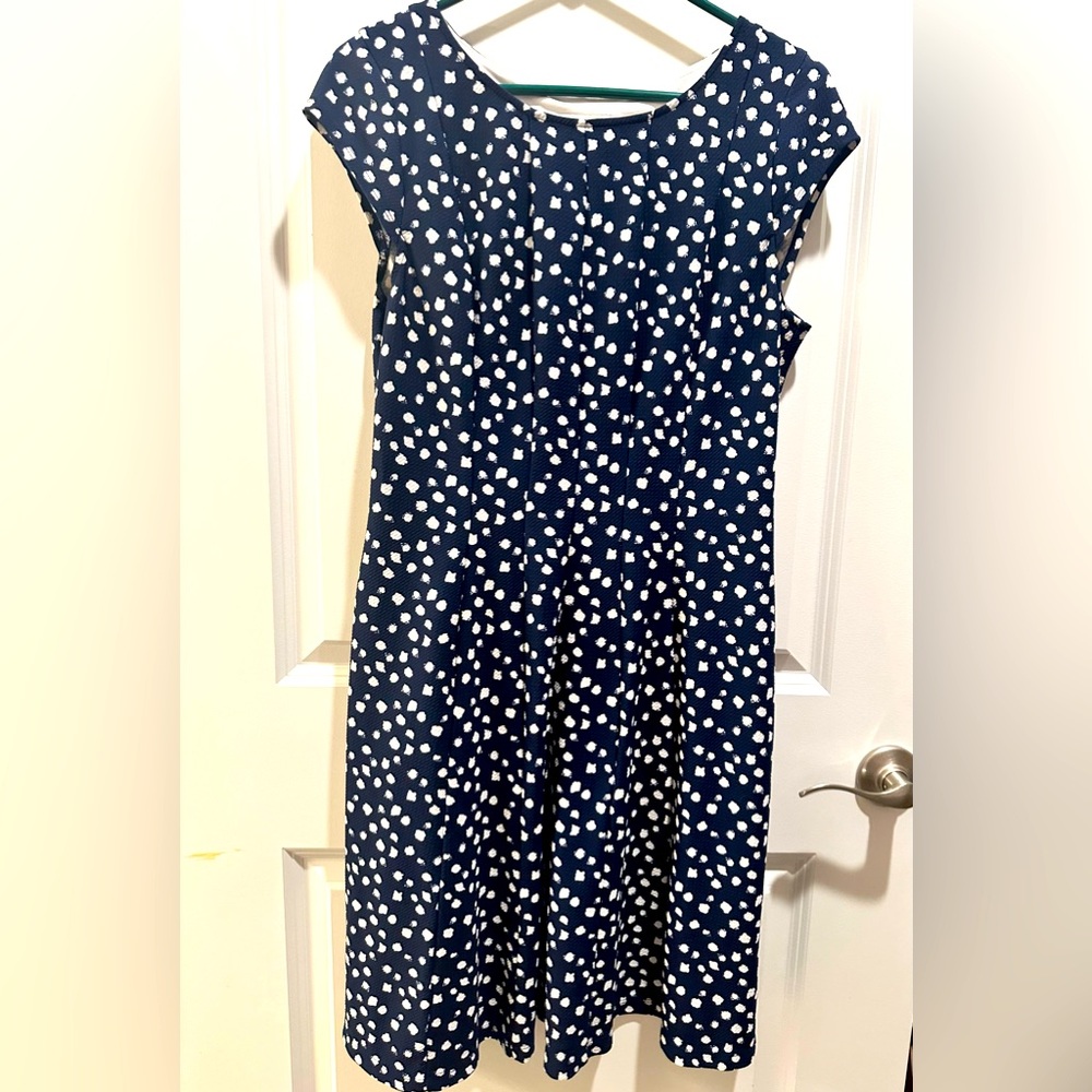 Navy/White Dress